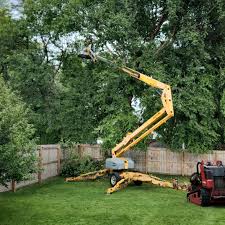 Best Pest Control for Lawns  in Eagle Crest, OR