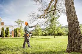 Best Seasonal Cleanup (Spring/Fall)  in Eagle Crest, OR