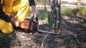 Best Lot and Land Clearing  in Eagle Crest, OR