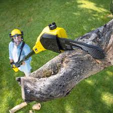 Best Sod Installation  in Eagle Crest, OR