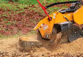 Best Tree Cabling and Bracing  in Eagle Crest, OR