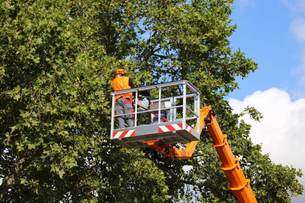 Best Firewood Processing and Delivery  in Eagle Crest, OR