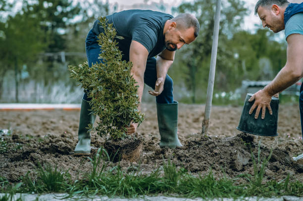 Best Tree Preservation Services  in Eagle Crest, OR