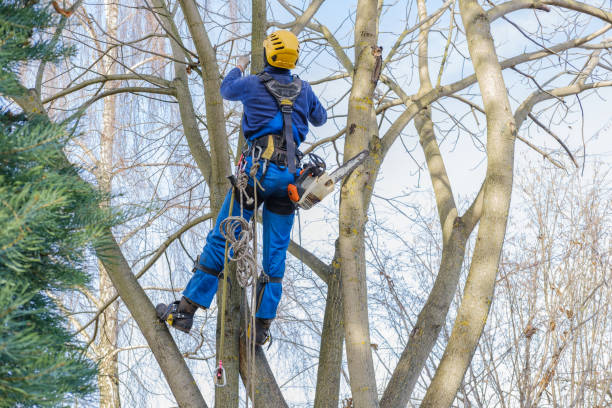 Best Lawn Pest Prevention  in Eagle Crest, OR