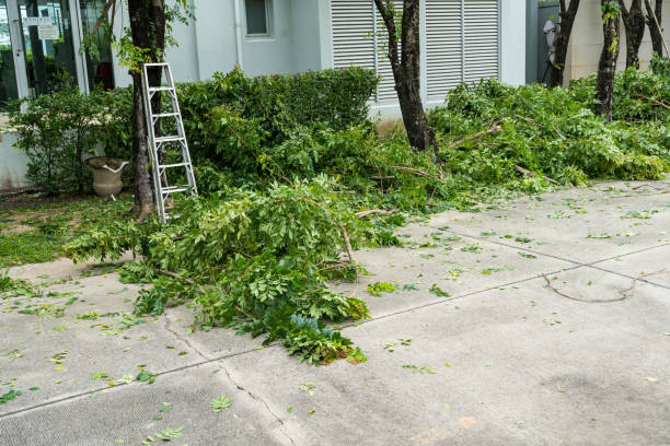Best Artificial Turf Installation  in Eagle Crest, OR