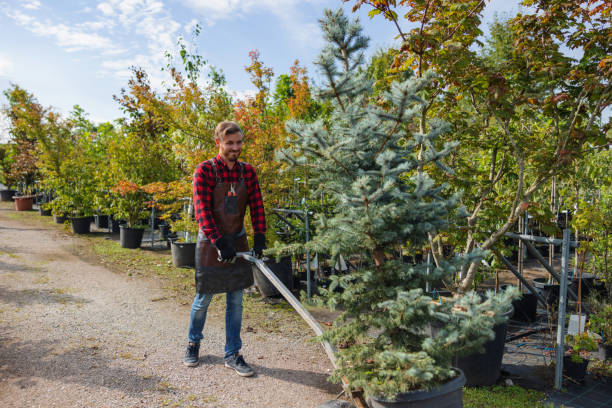Best Tree Removal  in Eagle Crest, OR