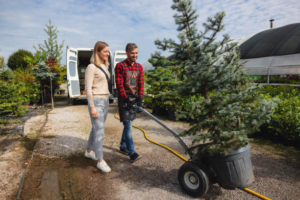 Best Root Management and Removal  in Eagle Crest, OR