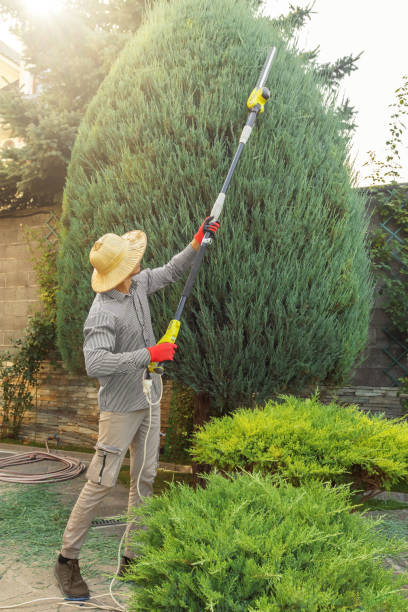 Best Lawn Irrigation Installation and Maintenance  in Eagle Crest, OR