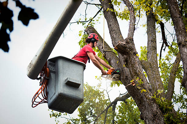 Seasonal Cleanup (Spring/Fall) in Eagle Crest, OR